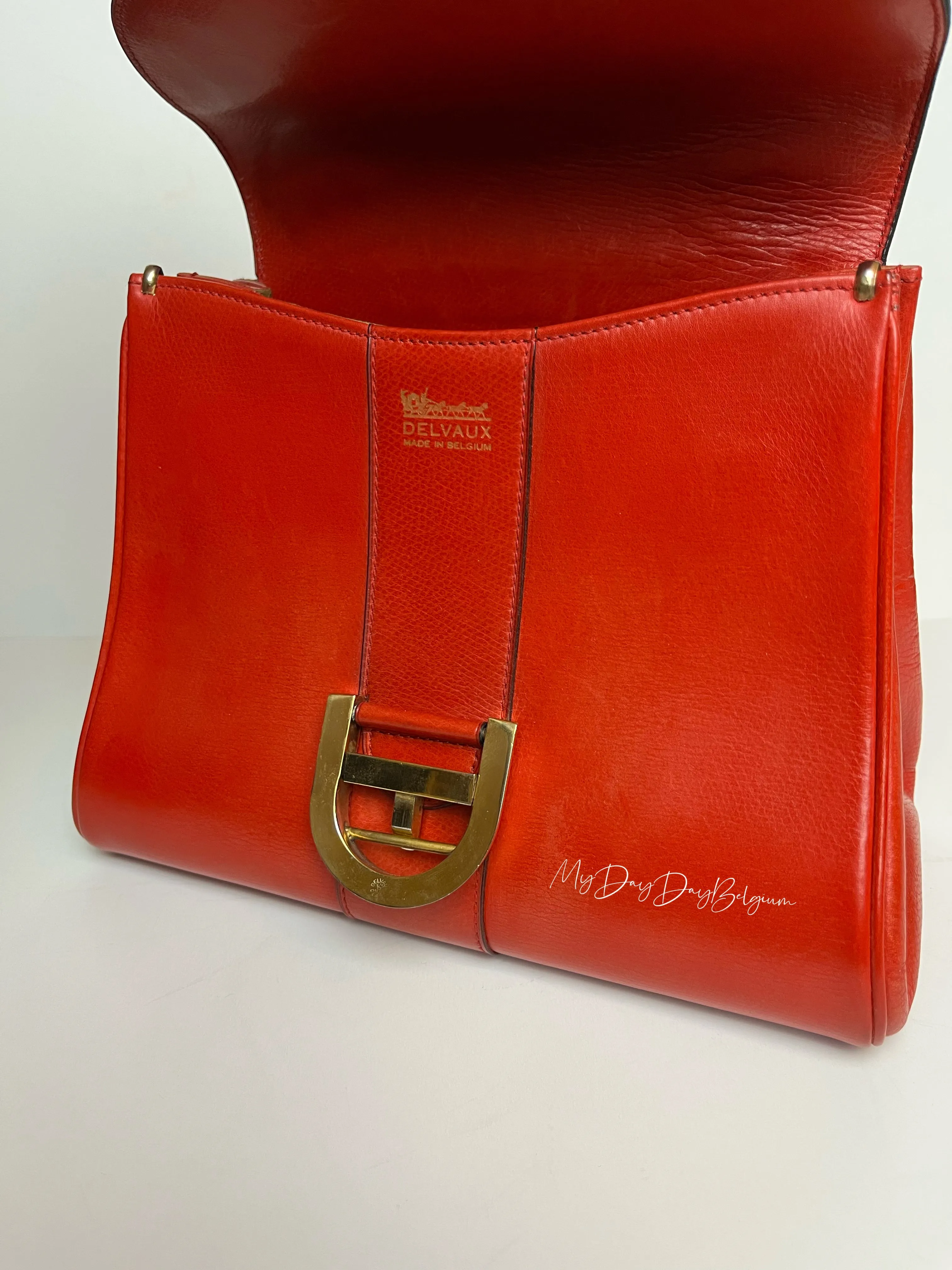 Delvaux Brillant PM light rouge