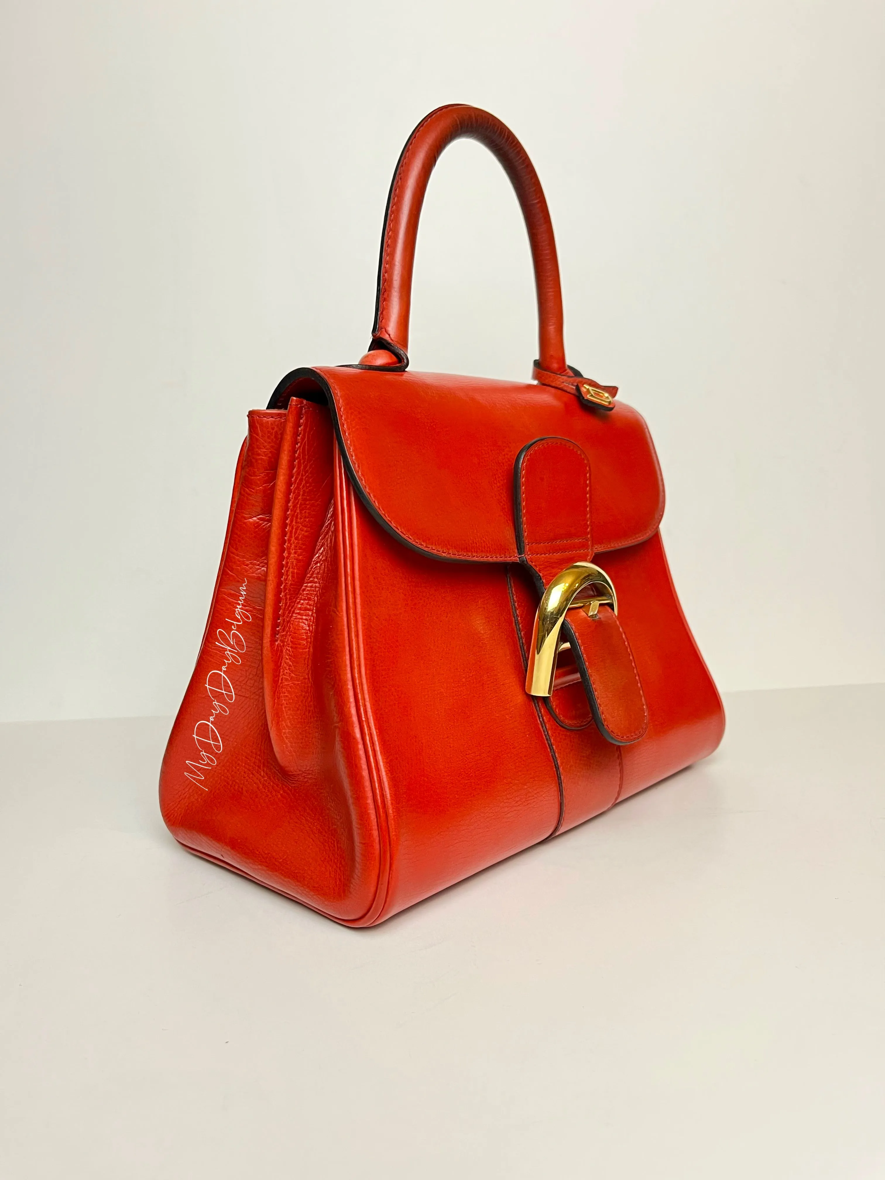 Delvaux Brillant PM light rouge