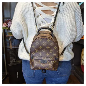 Louis Vuitton Monogram Canvas Palm Springs Mini Backpack